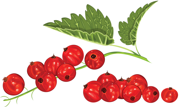 Ягоды для детей на прозрачном фоне