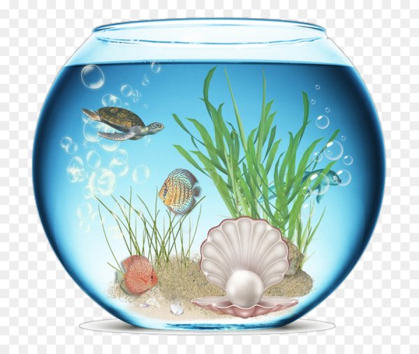 2 Панно с изображением аквариума аквариум с прорезями