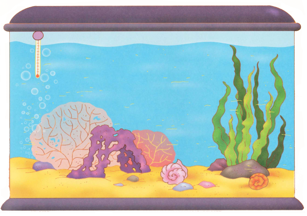 Аквариум для детей