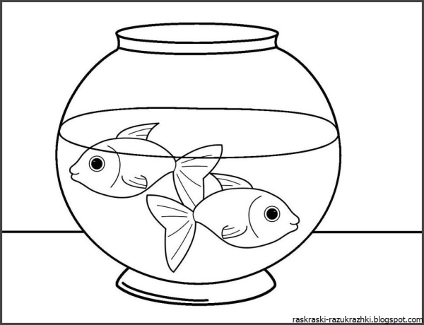 Аквариум пустой