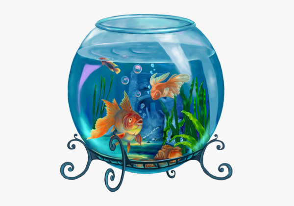 Раскраски аквариумные рыбки Золотая рыбка