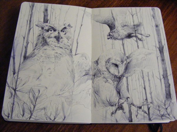 Скетчбук для рисования животных