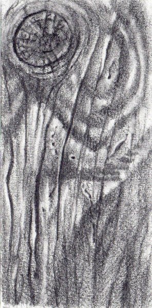 Фактура дерева карандашом