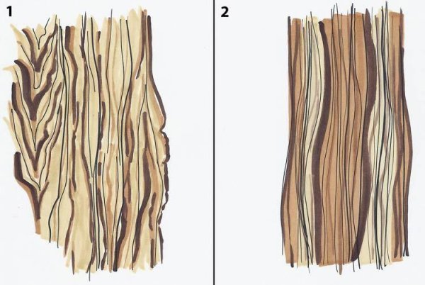 Узор коры дерева