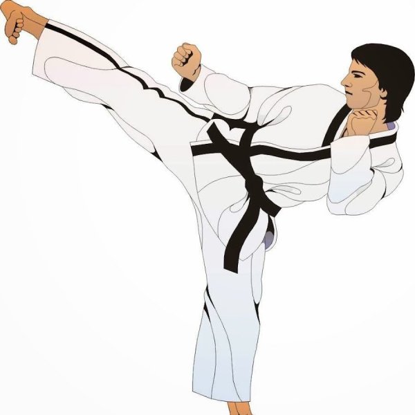 Каратэ на белом фоне