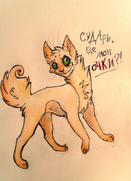 Коты Воители для рисования