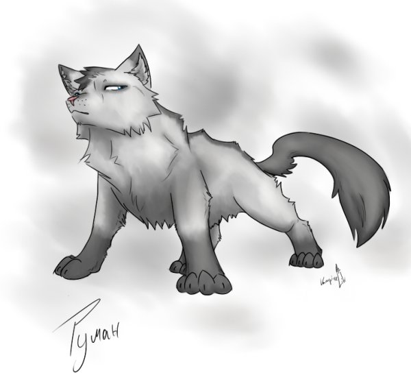 Коты Воители рисовка