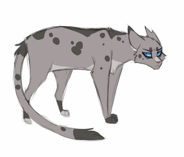 Коты Воители Серозвезд