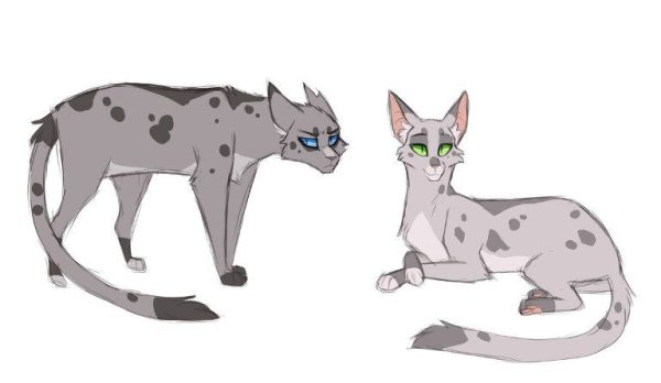 Warriors Cats Ashfur