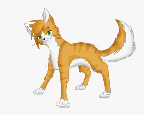 Аниме коты коты Воители