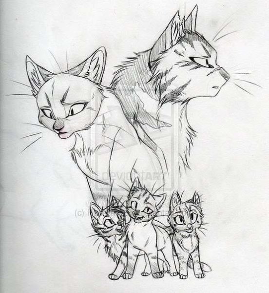 Срисовать котов воителей