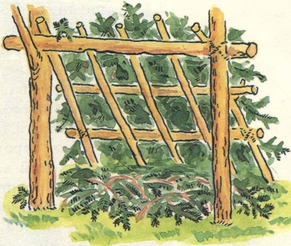 Укрытие из веток в лесу