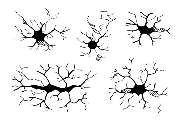 Трещина в стене на прозрачном фоне