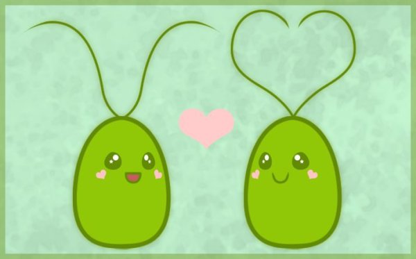 Хламидомонада Монада