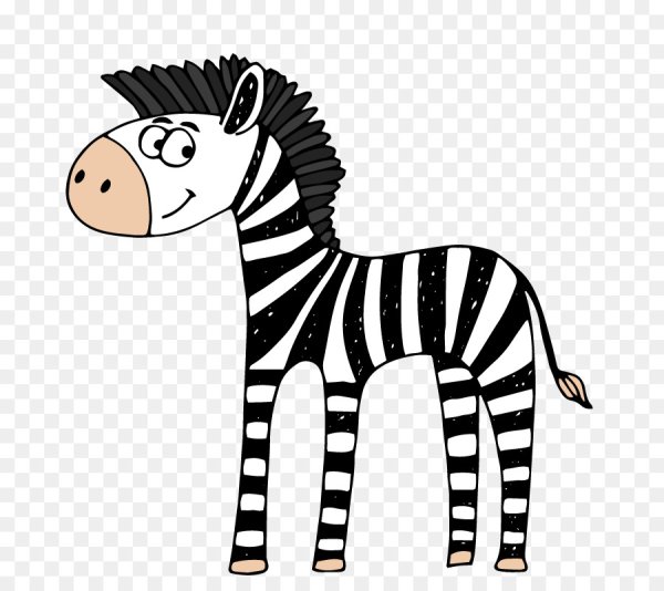 Зебра рисунок