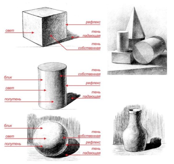 Градации светотени в рисунке