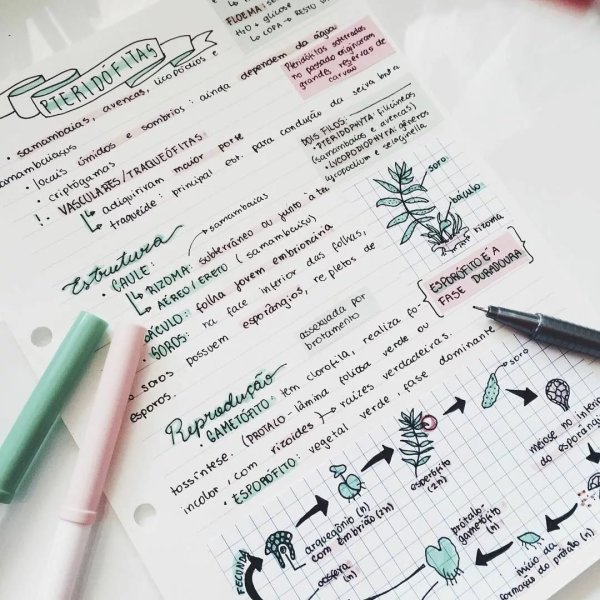 Красивые конспекты