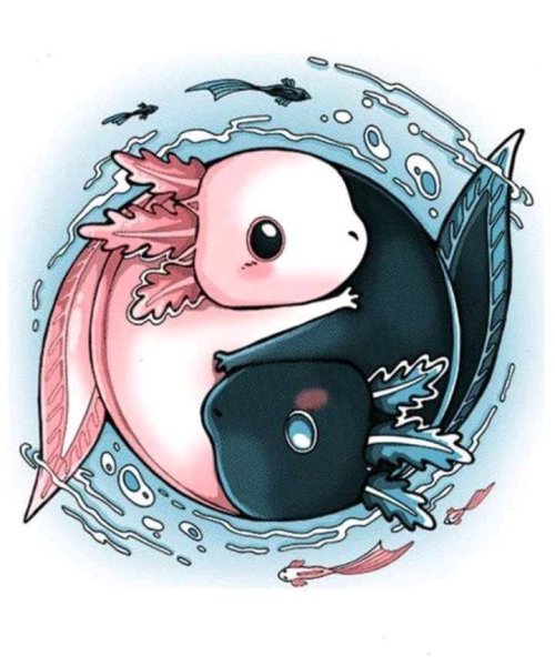 Аксолотль Инь Янь