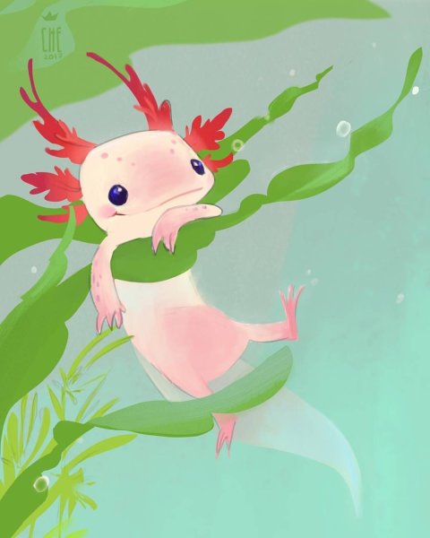 Аксолотль ящерица