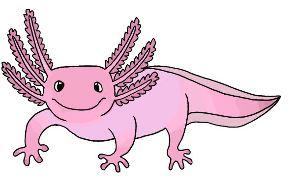 Аксолотль арт