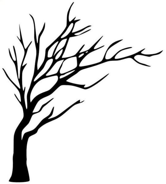 Нарисовать ствол дерева