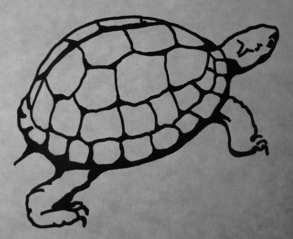 Панцирь черепахи узор