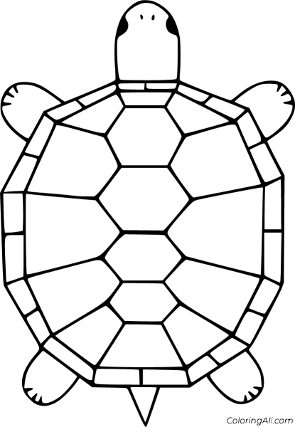 Панцирь черепахи узор