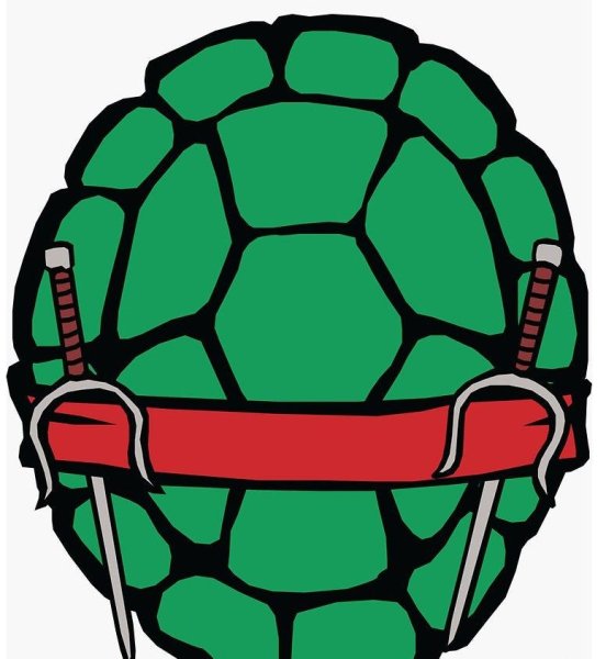 Панцирь черепахи ниндзя