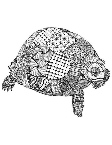 Черепаха Зентангл