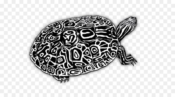 Орнамент в круге Черепаший панцирь