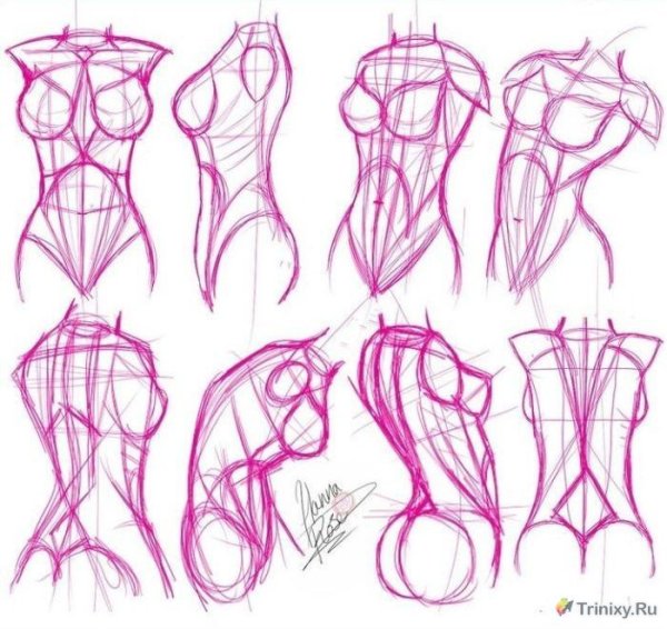 Анатомия тела для рисования