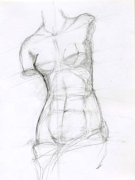 Торс Венеры Академический рисунок