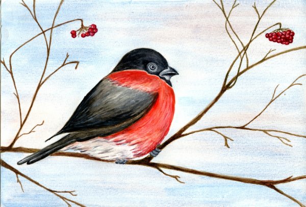 Снегирь шаблон