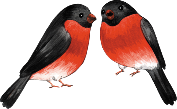 Снегирь мультяшный