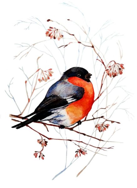 Снегирь для детского ада