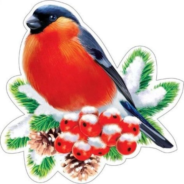 Контур снегиря на ветке для детей