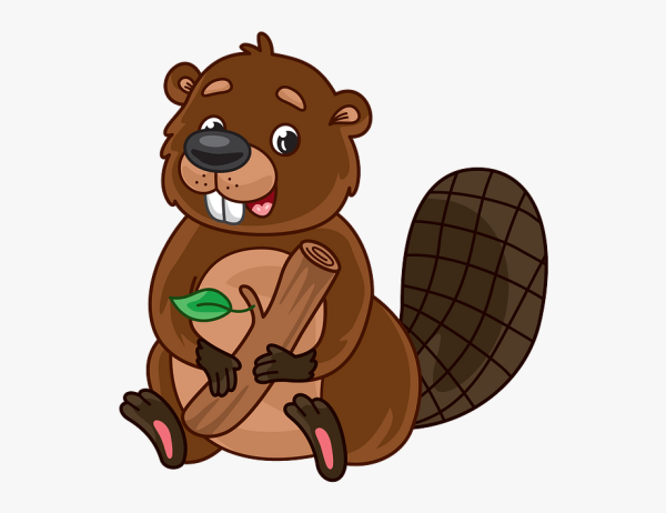 Бобер рисунок