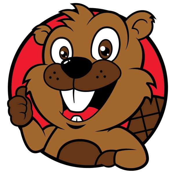 Бобр на белом фоне