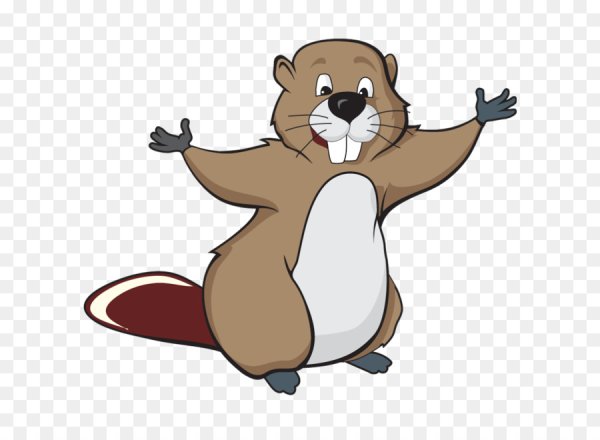 Раскраска бобра для детей