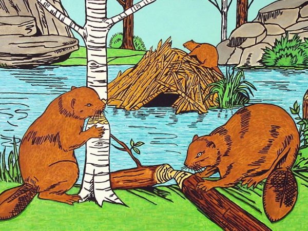Бобер нарисованный