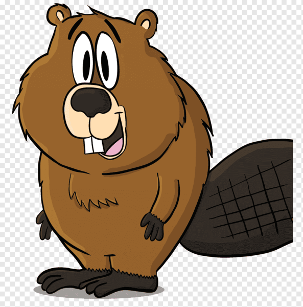 Бобр нарисовать