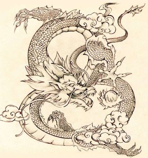 Uwibami японский дракон