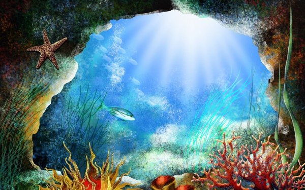 Подводный мир