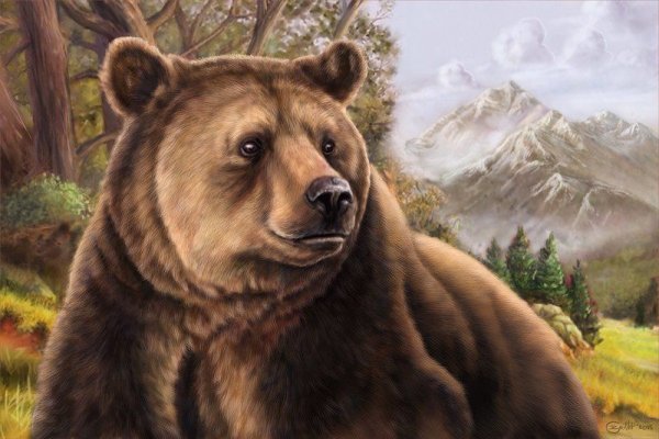 Медведь цветными карандашами