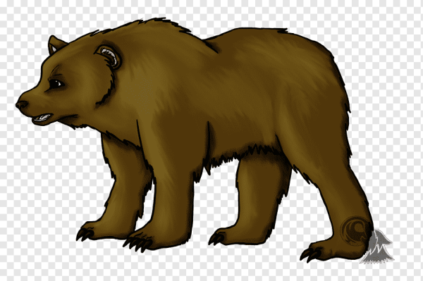 Медведь рисунок