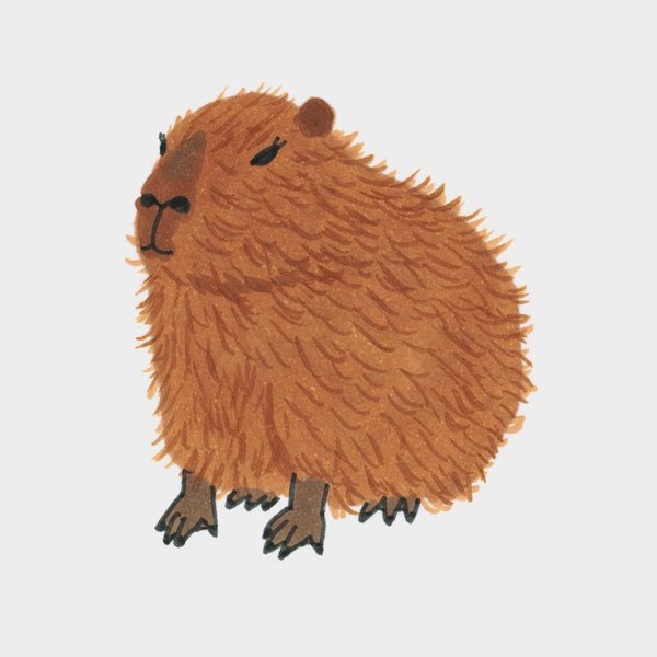 Капибара аниме ава