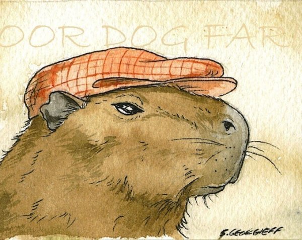 Капибара нарисовать