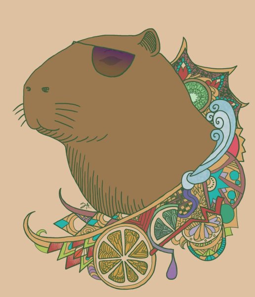 Капибара арт