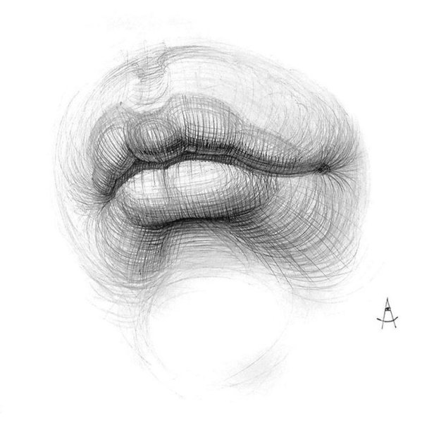 Академическое построение губ