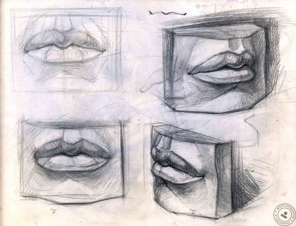 Губы Давида референс